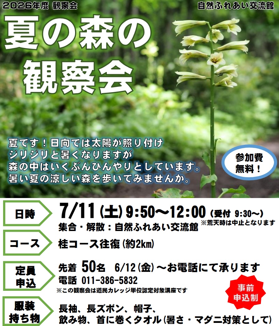 夏の森の観察会