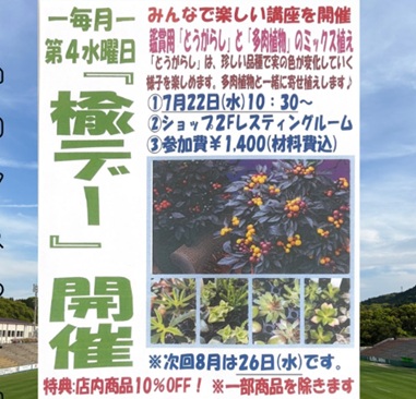 宗像
