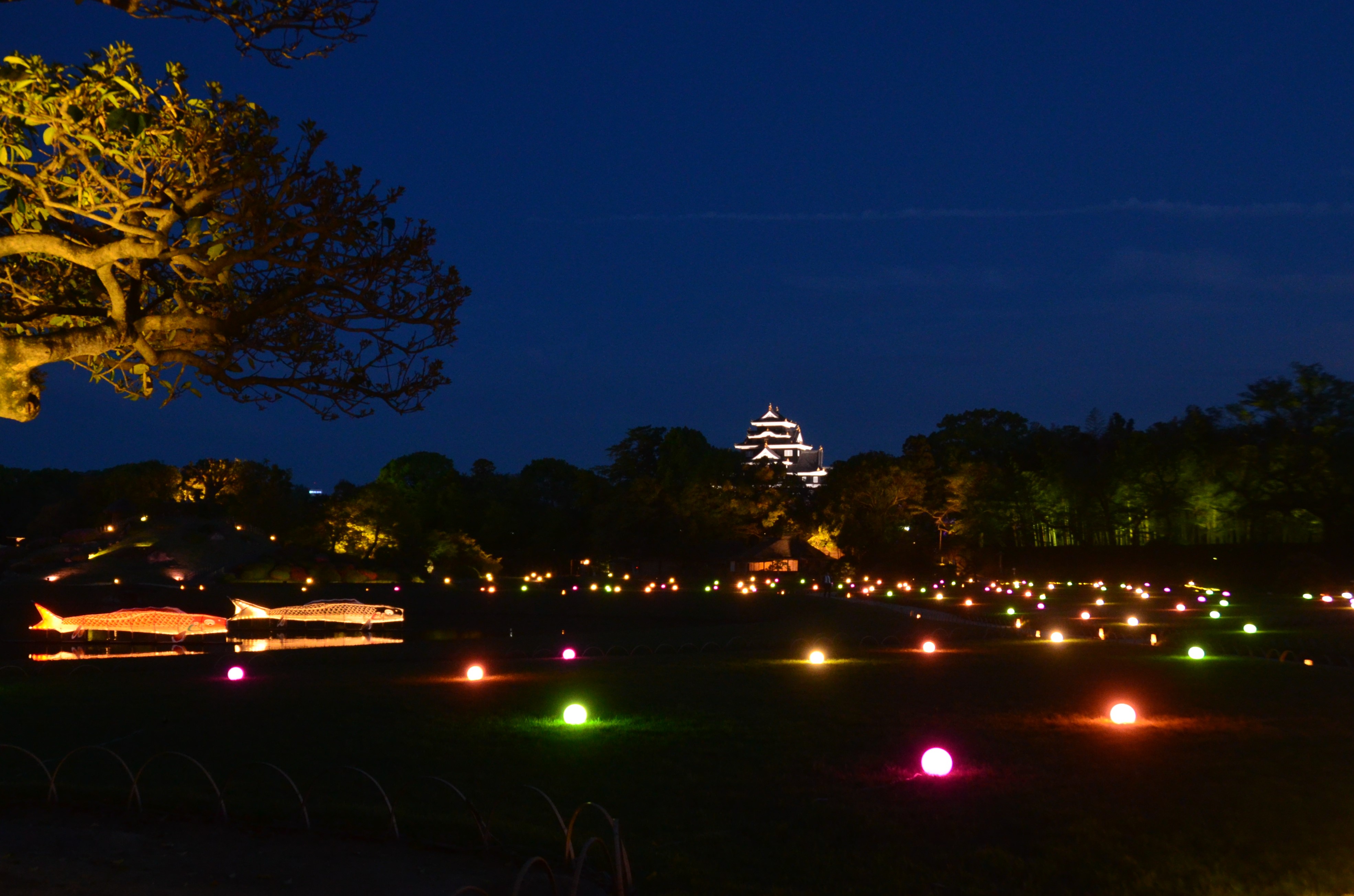 岡山後楽園夜間特別開園　春の幻想庭園