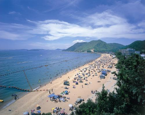 渋川海水浴場2026