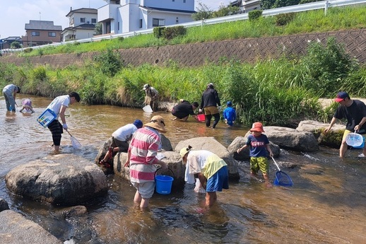 牛頸川の生き物を観察しよう！水辺教室