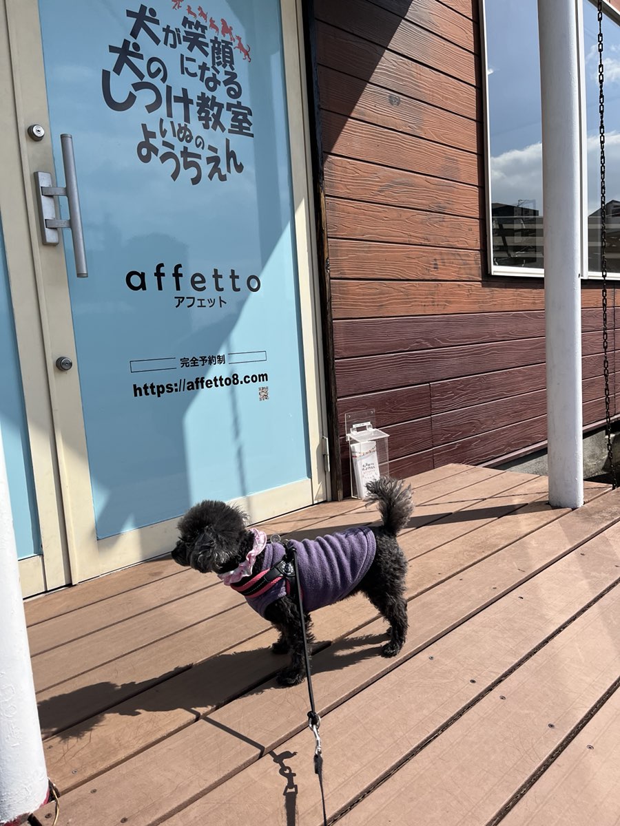 犬が笑顔になる 犬のしつけ教室 アフェット