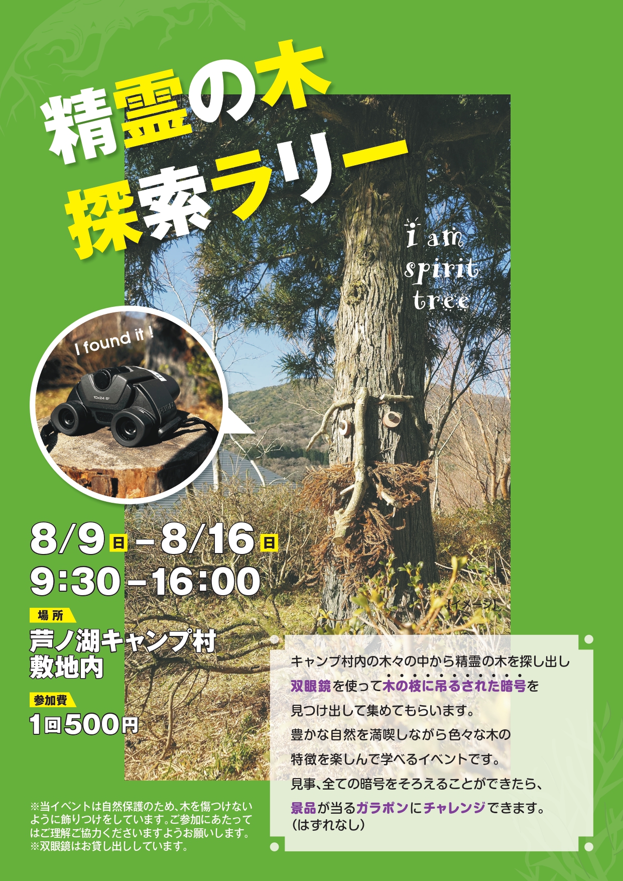 精霊の木探索ラリー