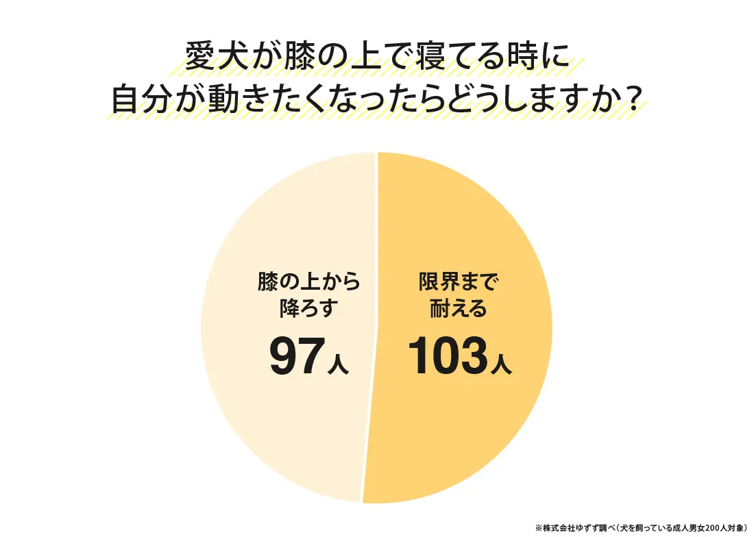 膝の上で眠る愛犬に限界まで耐える飼い主が半数以上の結果に！＿２