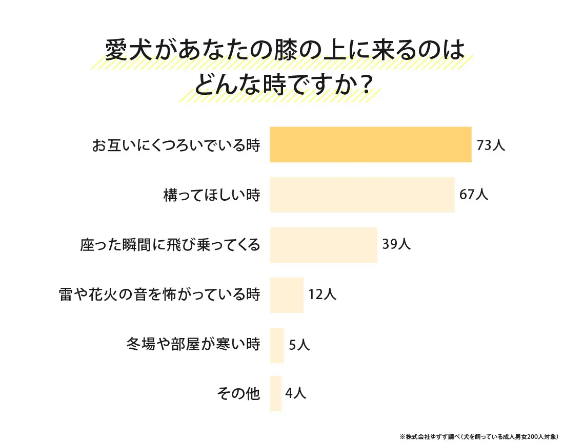 膝の上で眠る愛犬に限界まで耐える飼い主が半数以上の結果に！＿1