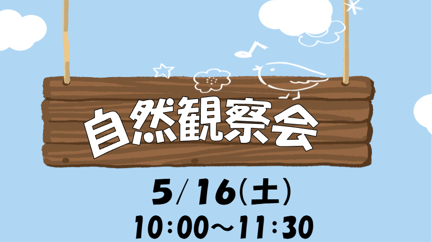 自然観察会