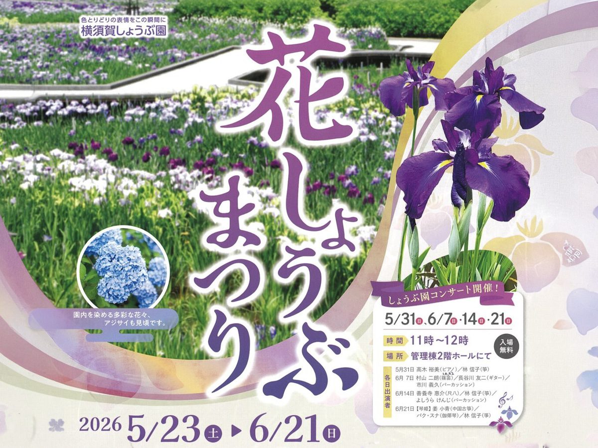 横須賀しょうぶ園 花しょうぶまつり