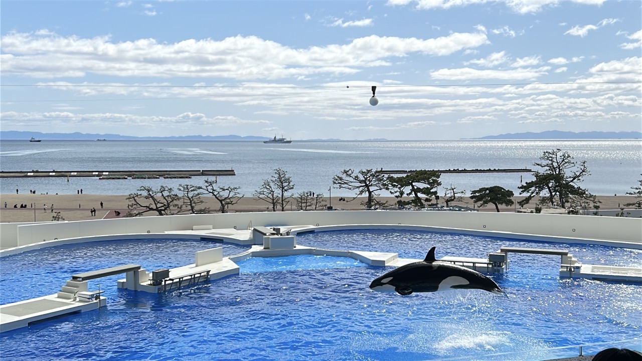 須磨シーワールド-ikuka(2).