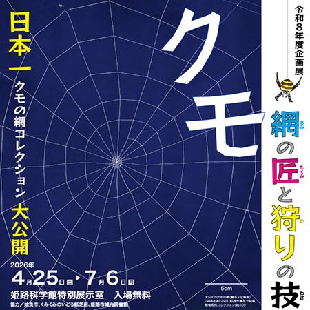 企画展「クモ-網の匠と狩りの技-」
