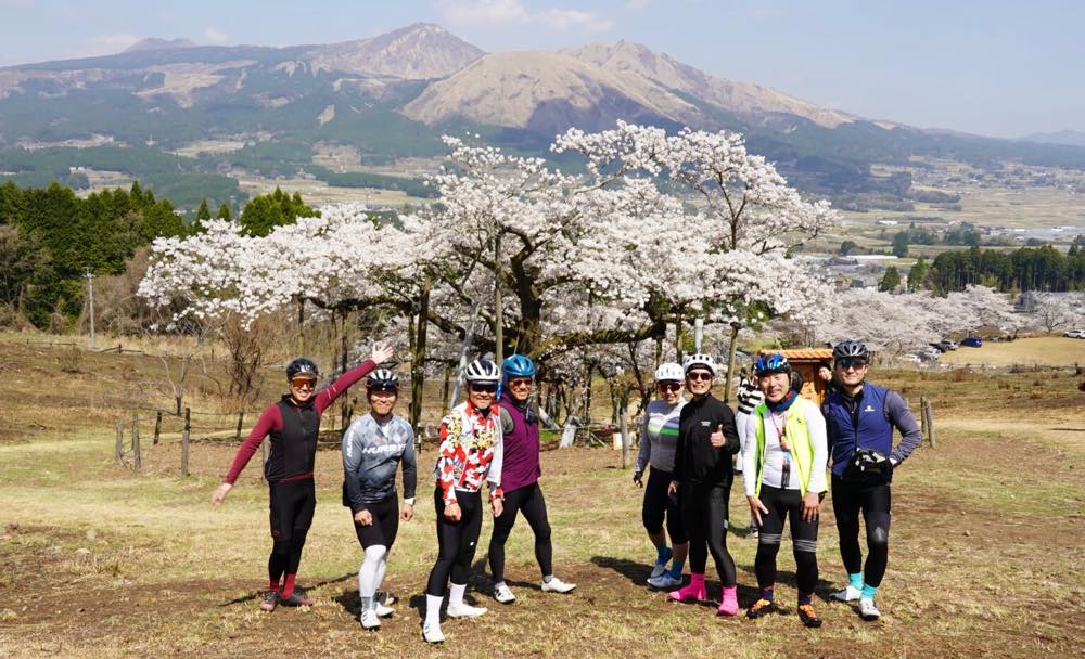 4月の阿蘇満喫ライド・南阿蘇村サクラミチライド
