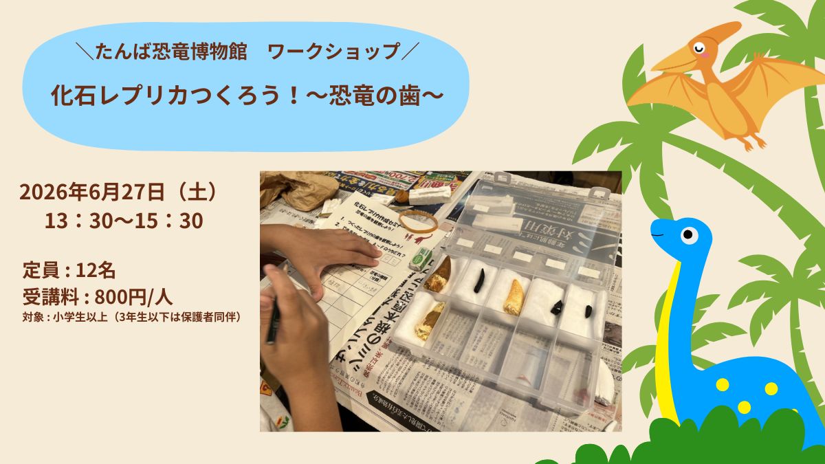 化石レプリカつくろう！（先着12名）