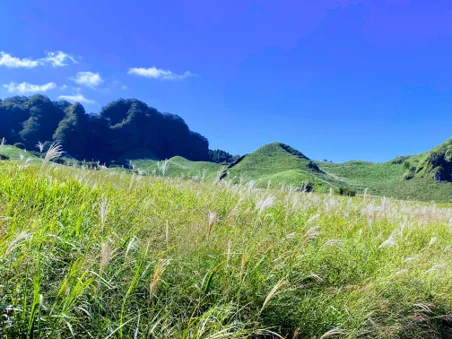 【持続可能】伝統の野焼きが斜面崩壊を防ぐ？阿蘇で新たな共同研究が始動