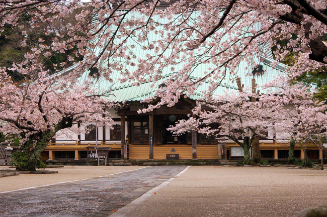 光明寺【写経】