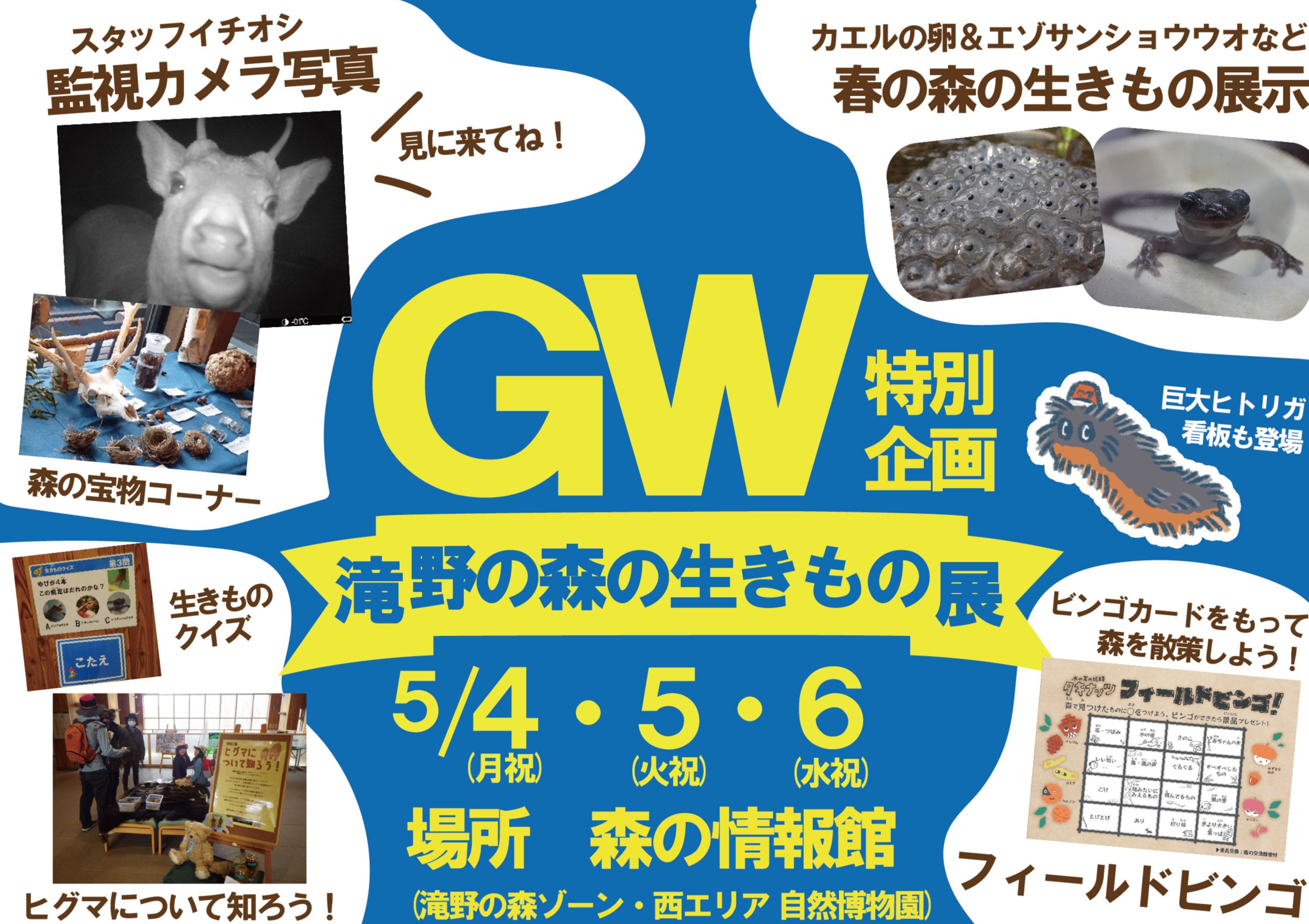 「GW特別企画」滝野の森の生きもの展
