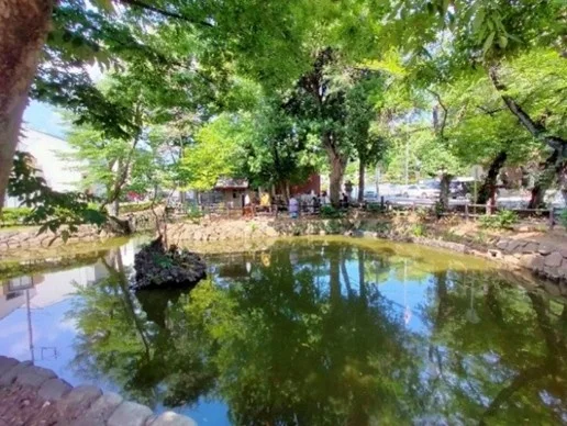 いの池とは