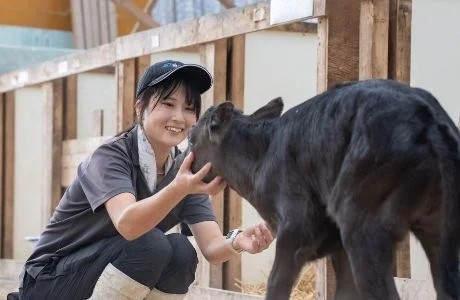大樹町に新たなブランド和牛登場！天駆和牛