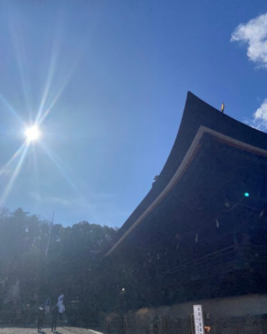 日差しと社殿