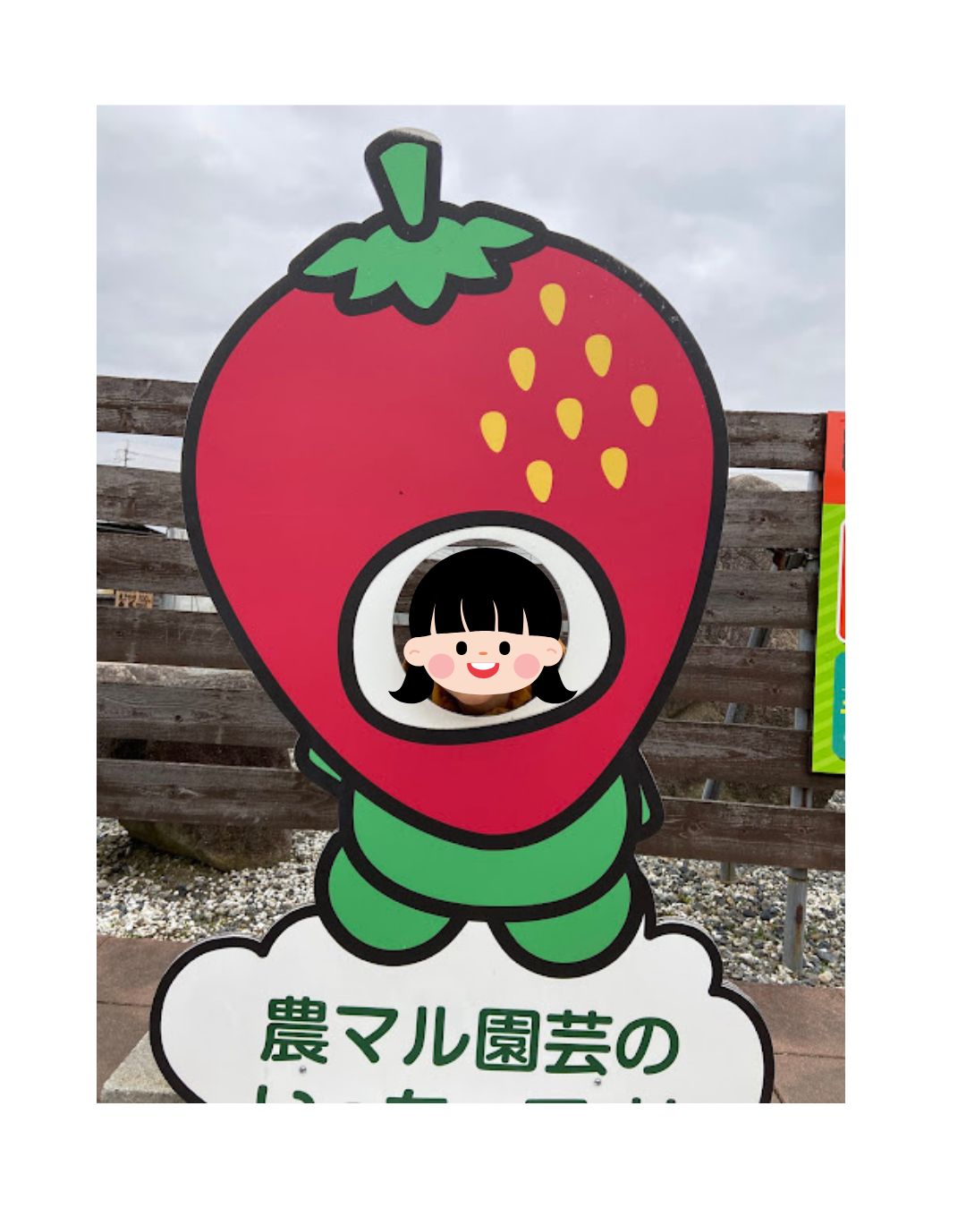 イチゴの顔はめ