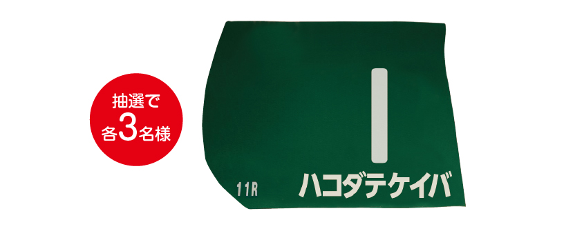レプリカゼッケンプレゼント