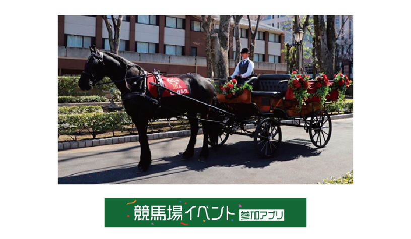 馬車試乗会