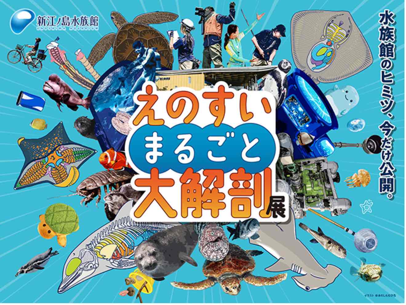 新江ノ島水族館 えのすいまるごと大解剖展