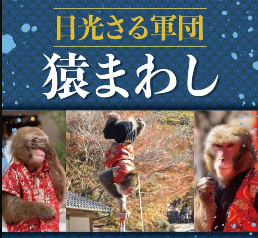 日光さる軍団 猿まわし