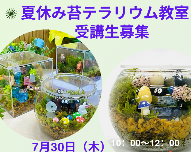 夏休み苔テラリウム教室