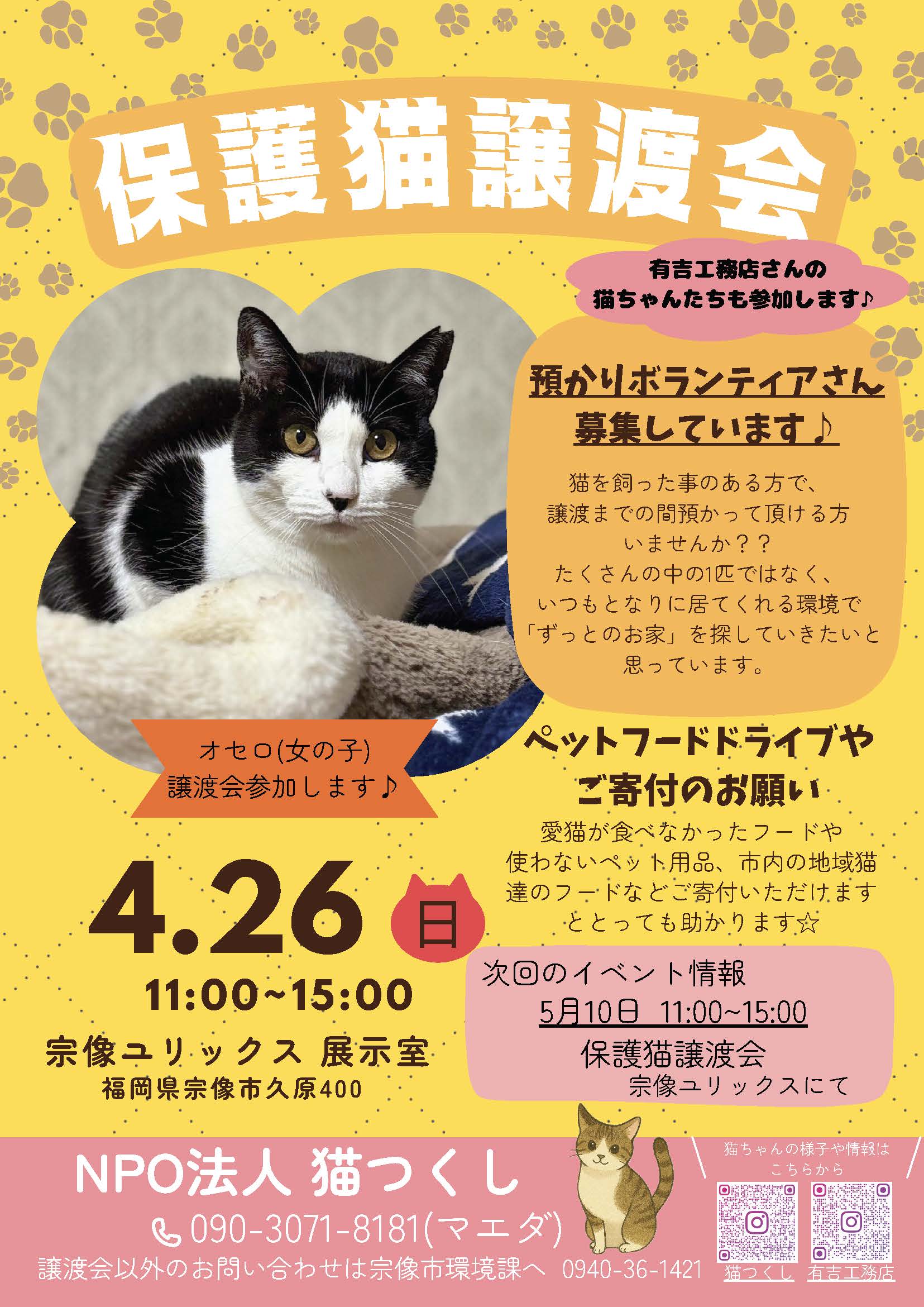 保護猫譲渡会