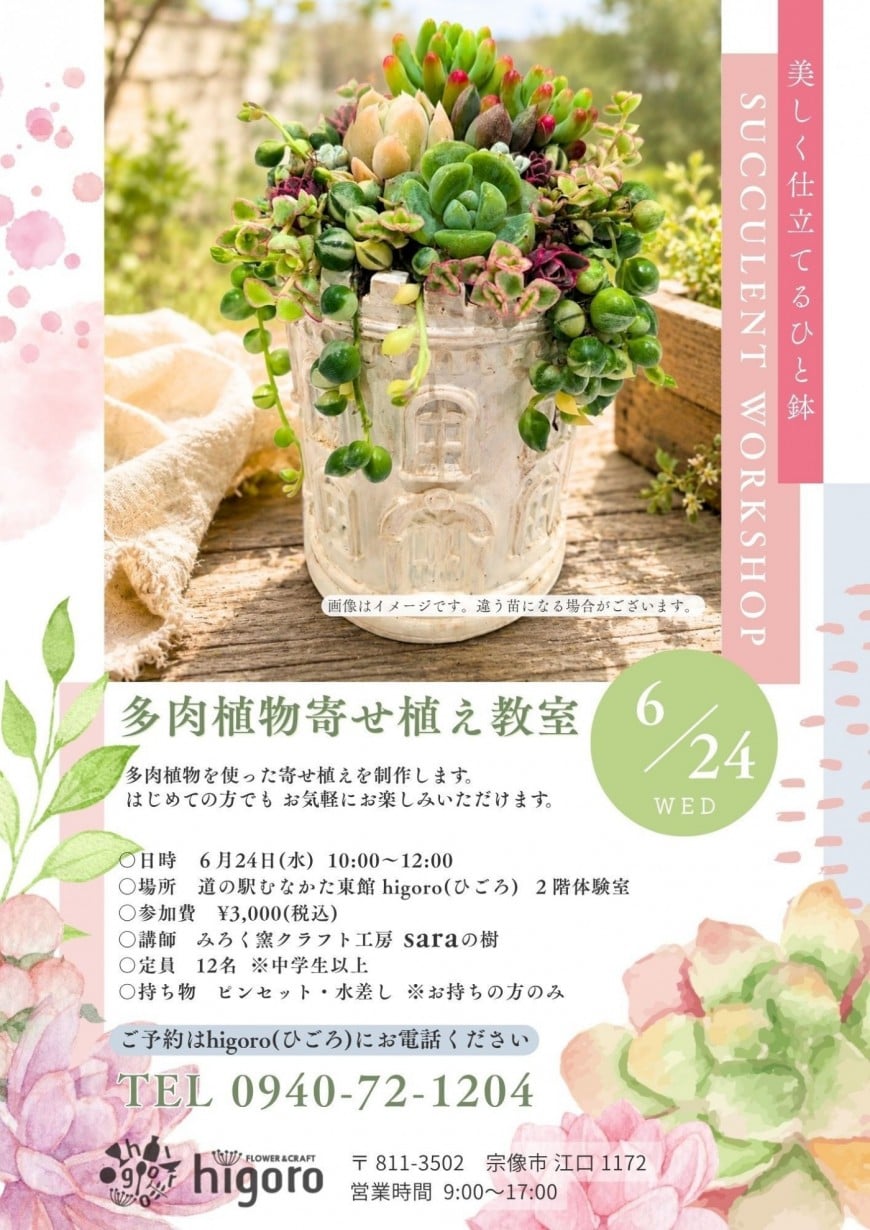 多肉植物