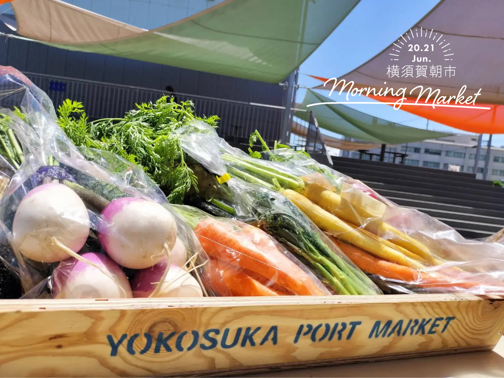 横須賀朝市 Morning Market