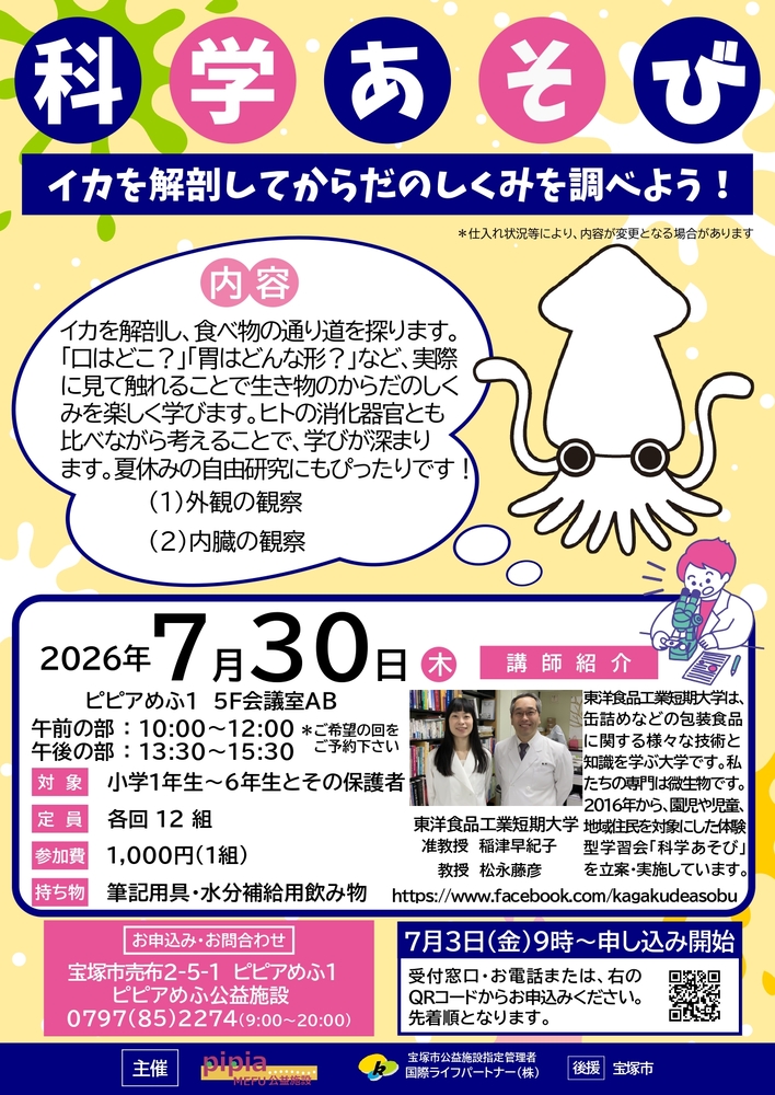 科学あそび　イカを解剖してからだのしくみを調べよう