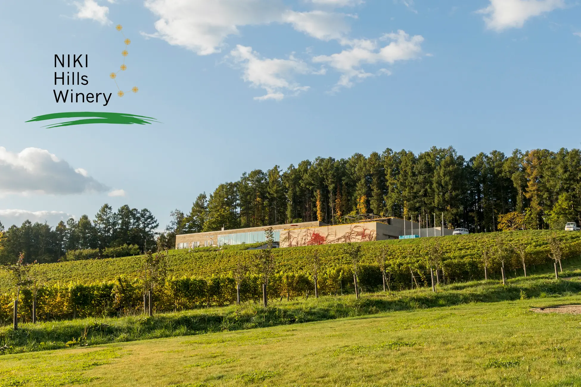 「NIKI Hills Winery」さくらんぼ狩りとロゼ