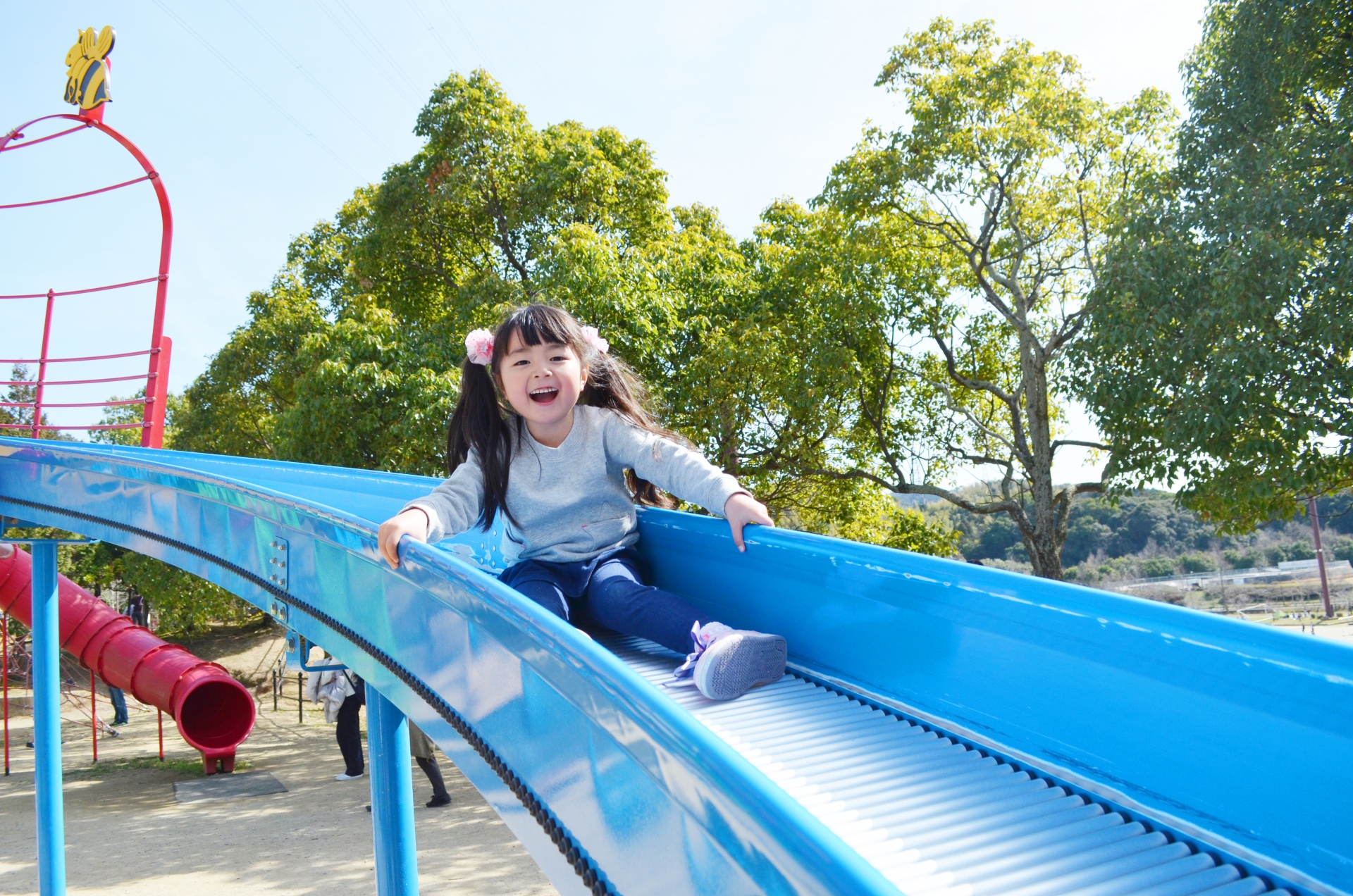１日遊べる！自然いっぱいの大型公園「あいかわ公園」へ行こう