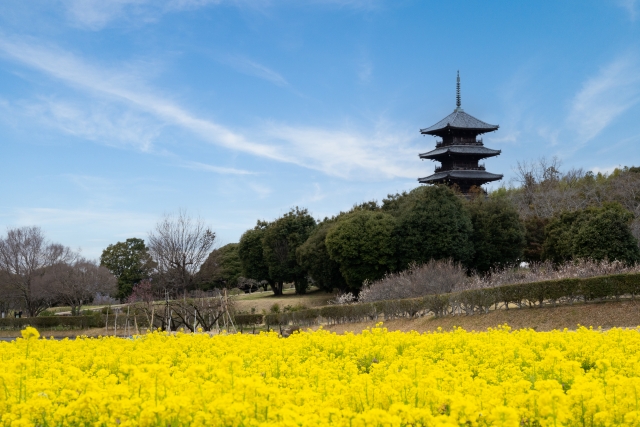 吉備路サイクリング 春の気配かおる備中国分寺五重塔