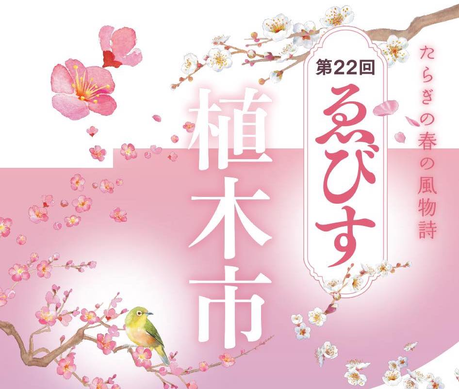 ゑびす植木市