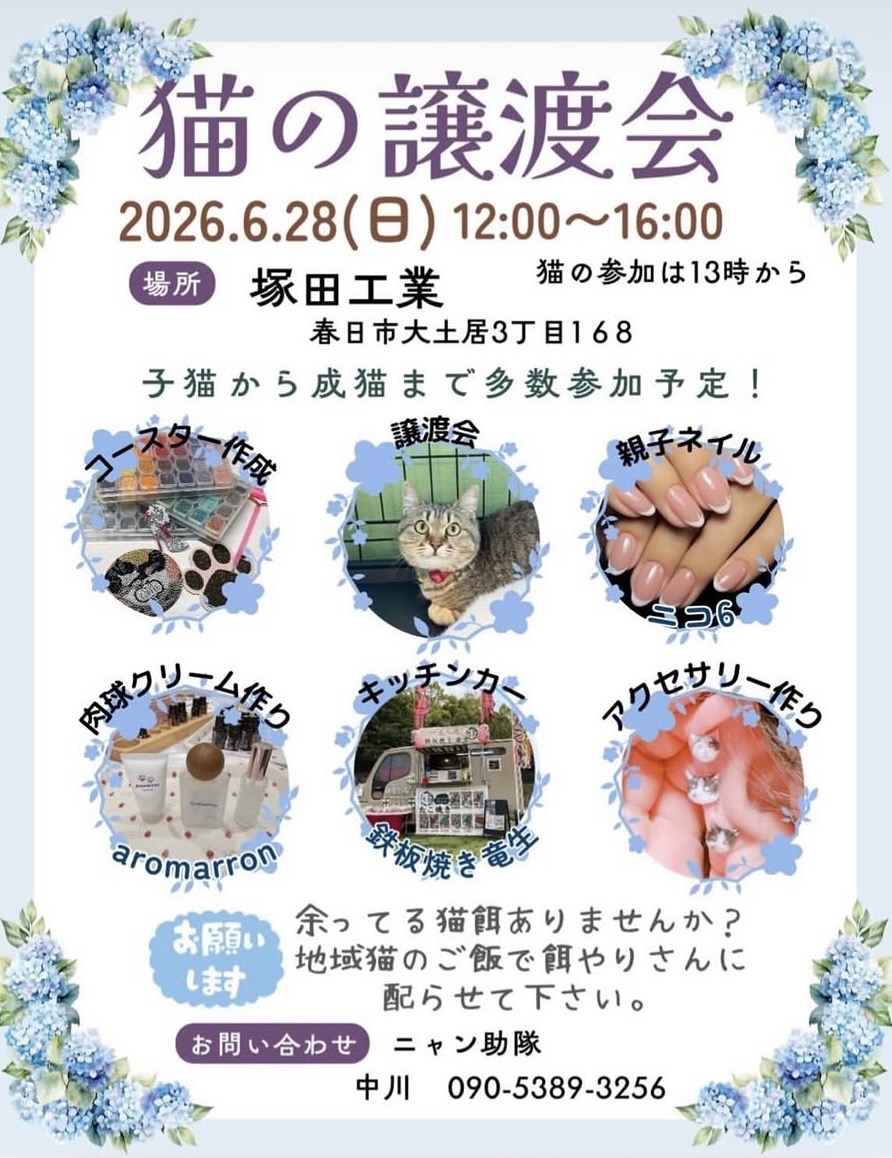 猫の譲渡会（塚田工業　6/28）