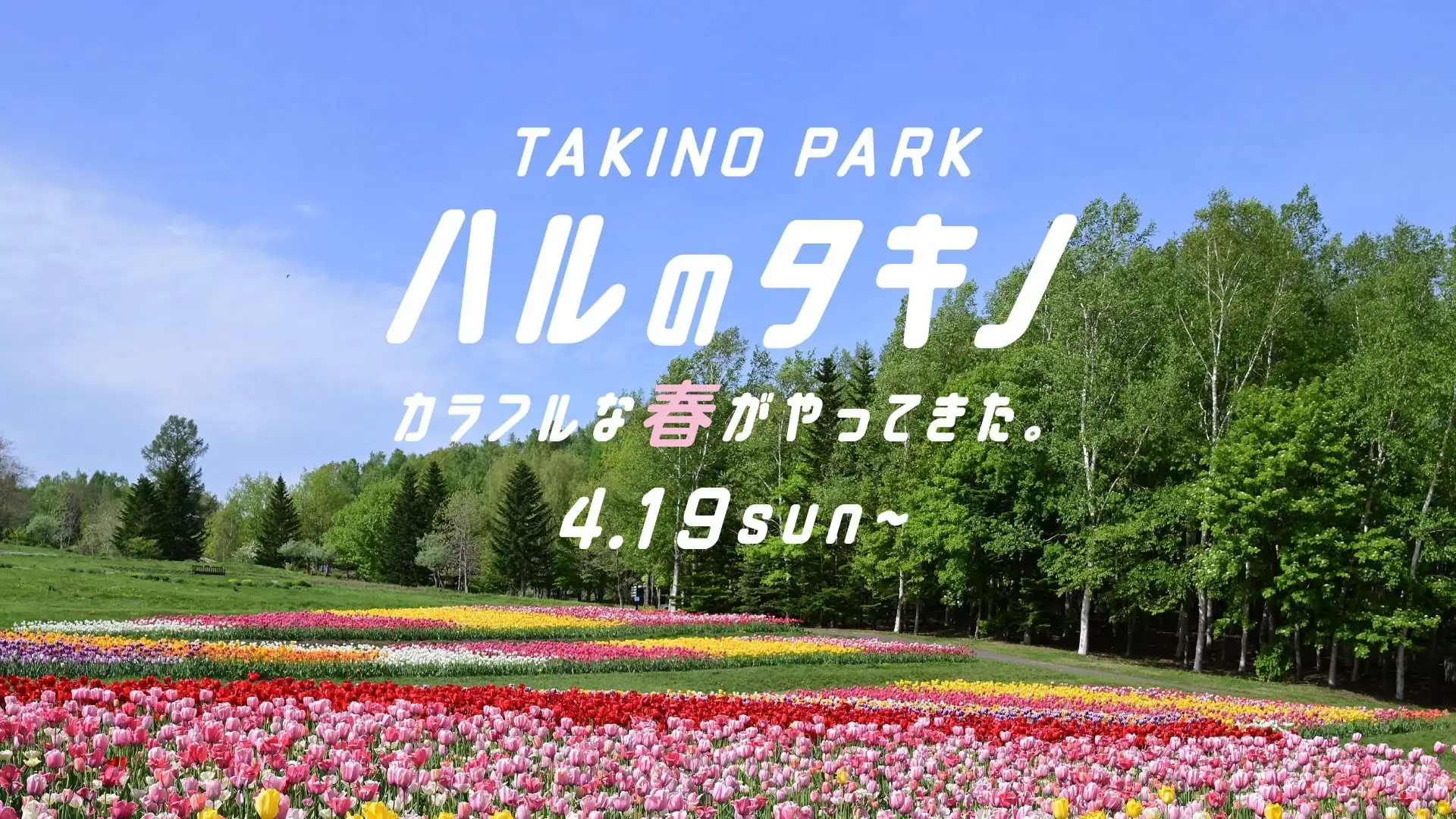 国営滝野すずらん丘陵公園の夏期営業スタート