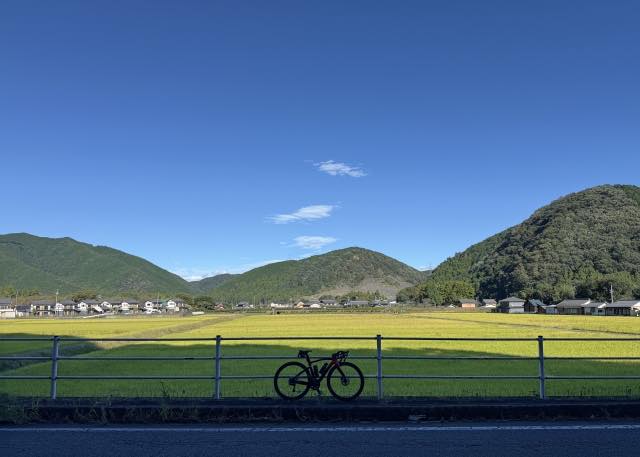 江津湖 朝活サイクリング