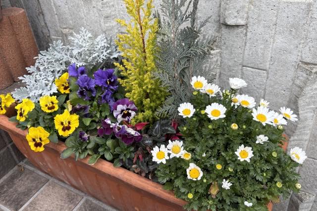 季節の寄せ植え教室