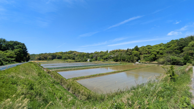 熊本の自然を守るサントリー九州熊本工場が環境大賞をW受賞