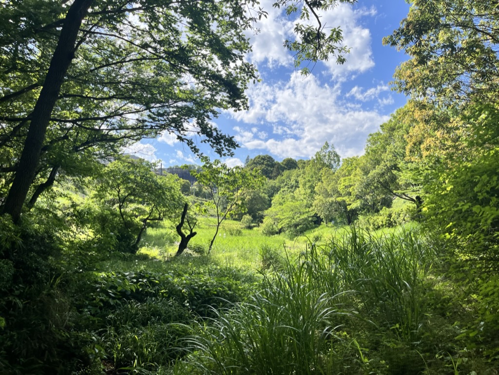 「黒川谷ツ公園」に行ってみた