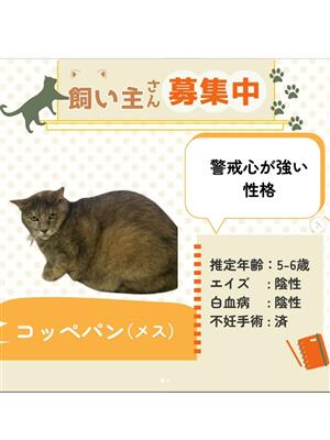 譲渡会