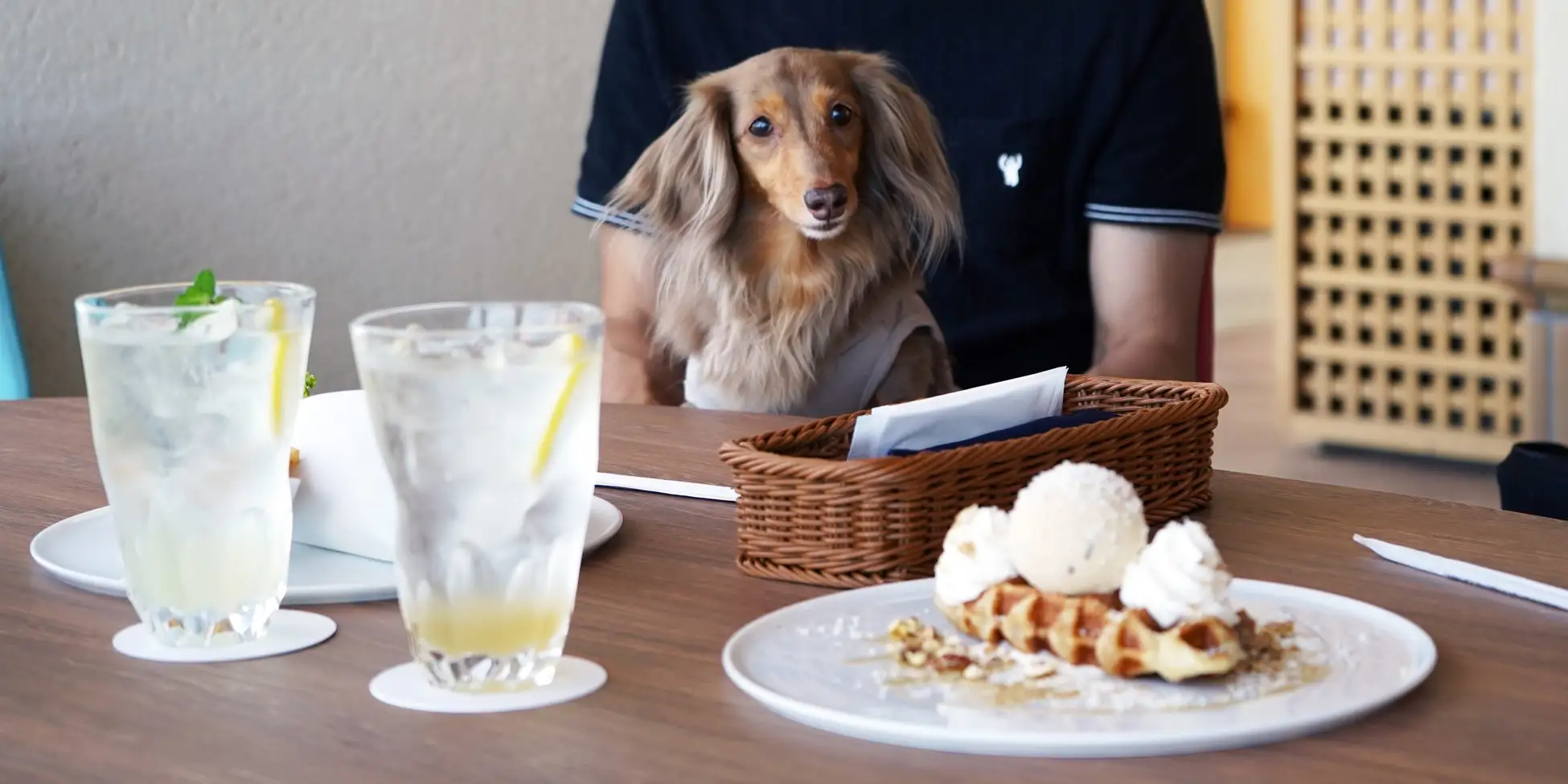 AWAJI DOG MARCHÉ vol.01_2