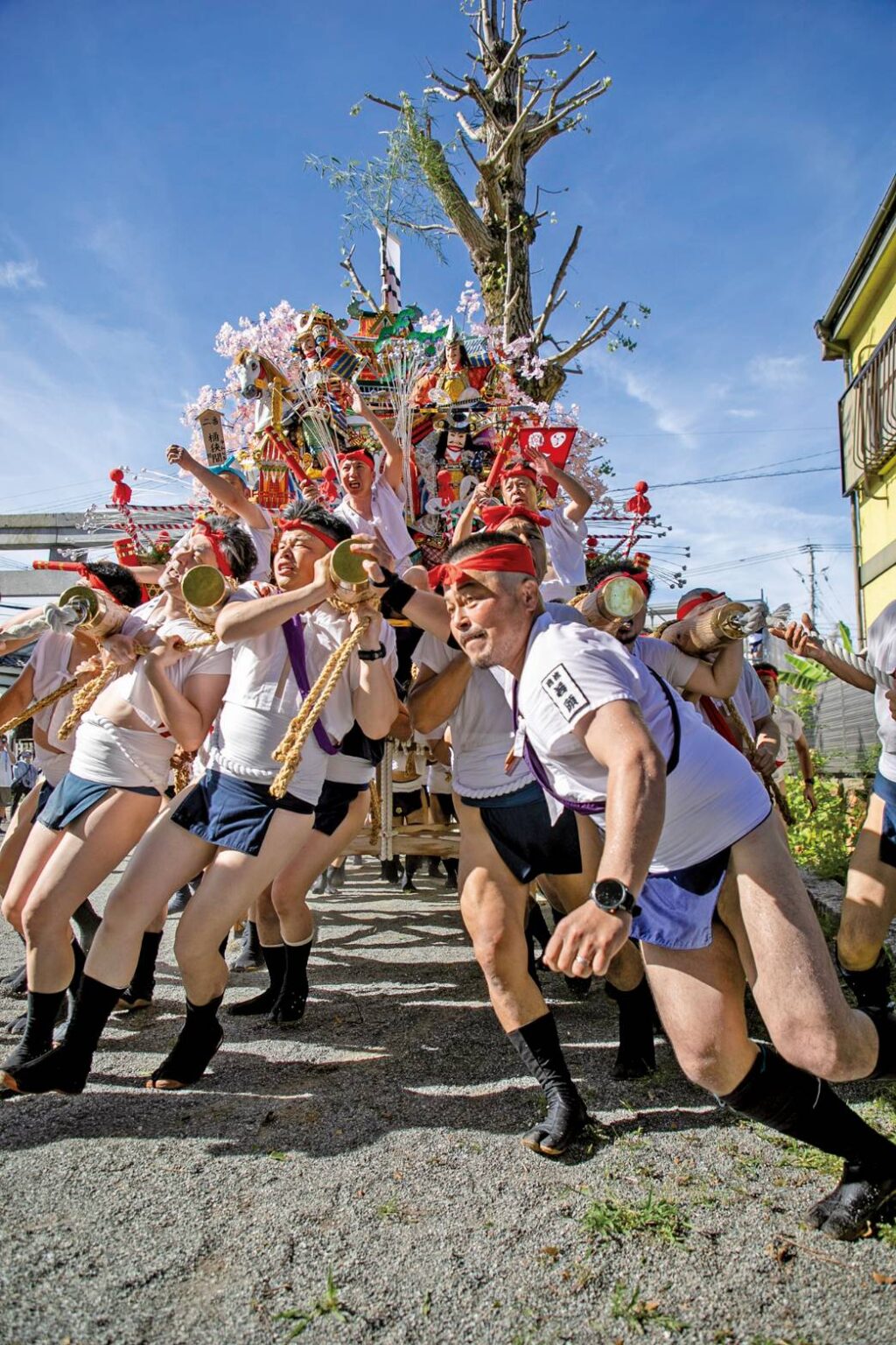 津屋崎祇園山笠2026