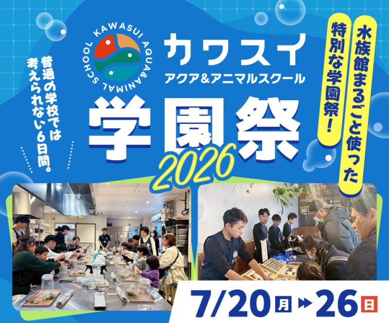 カワスイ学園祭
