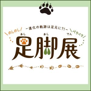 足