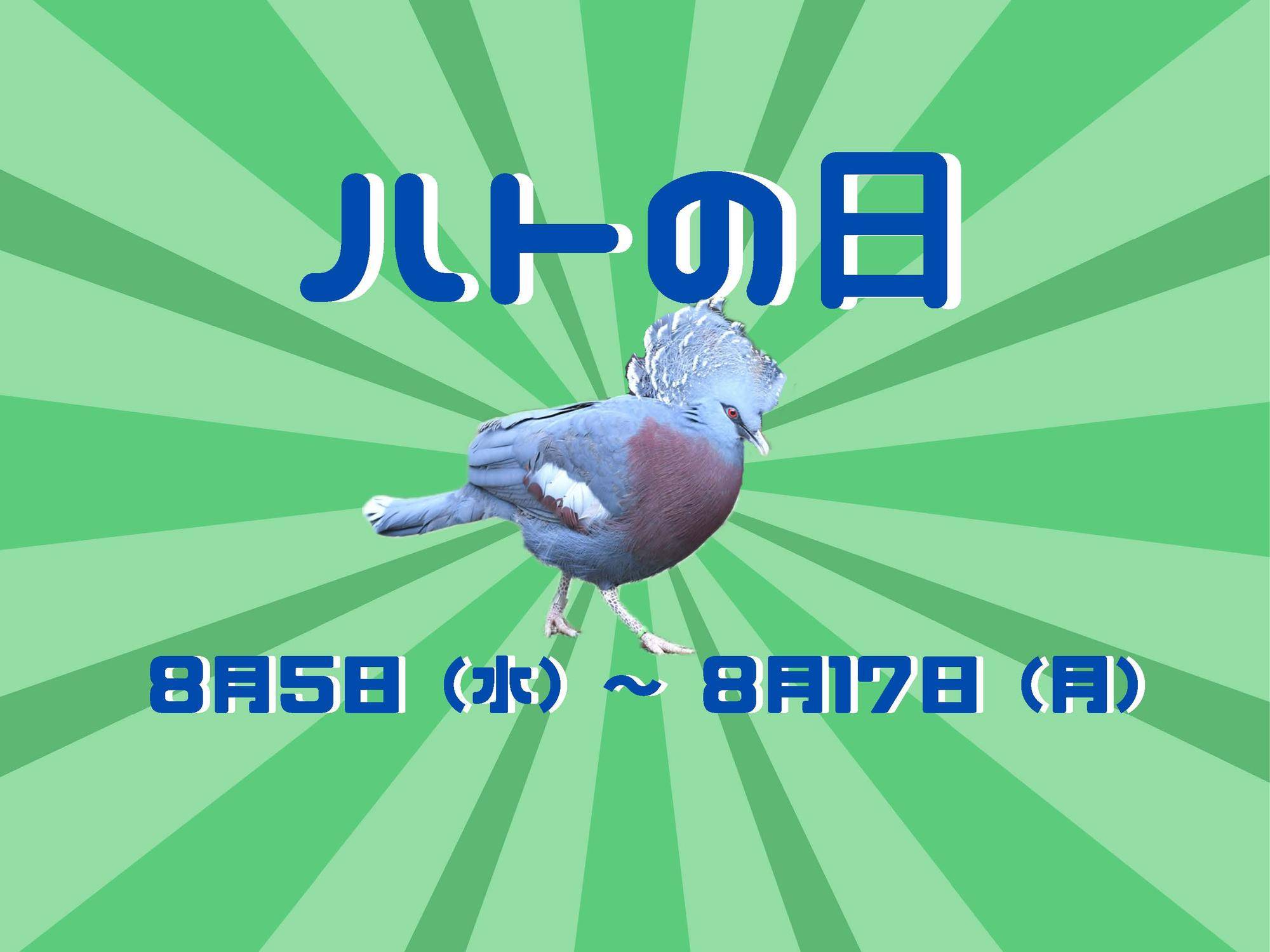 ハトの日イベント