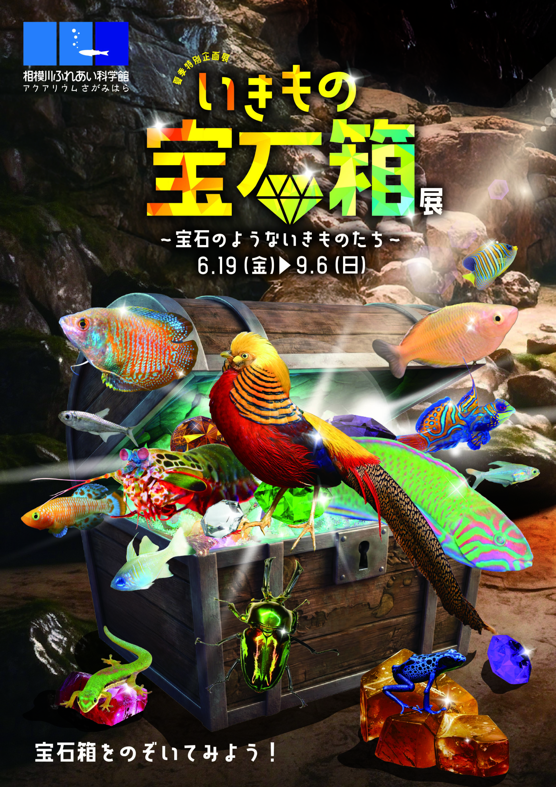 特別企画展　いきもの宝石箱展