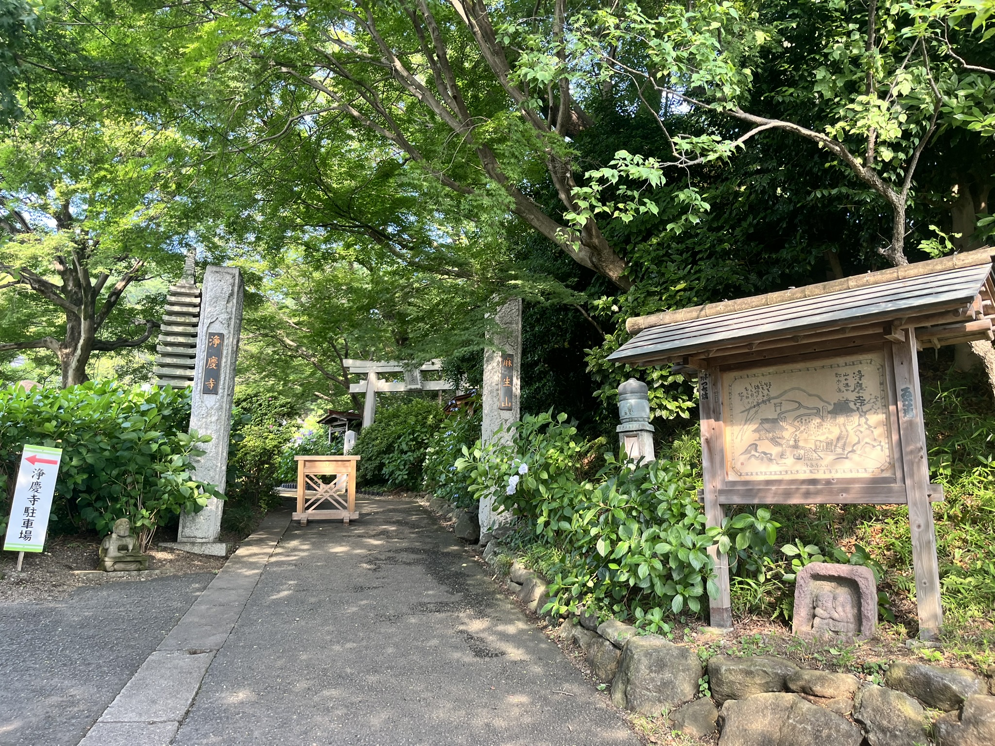 は穴場！柿生にある紫陽花寺「浄慶寺」へ行ってみよう！