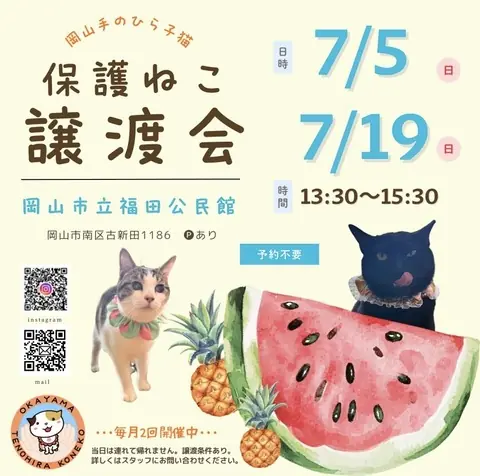 7月保護猫譲渡会